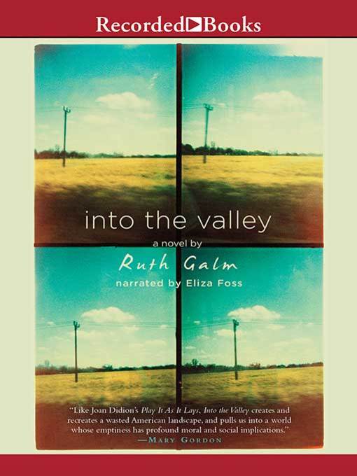 Title details for Into the Valley by Ruth Galm - Available
